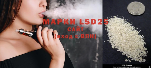 индика Абинск