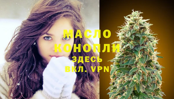 индика Абинск