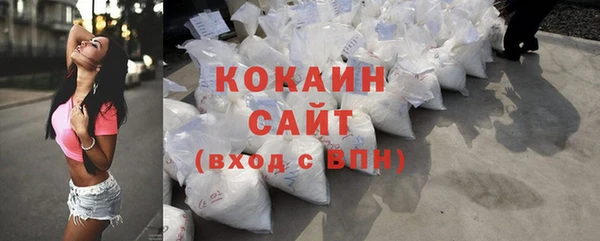 индика Абинск