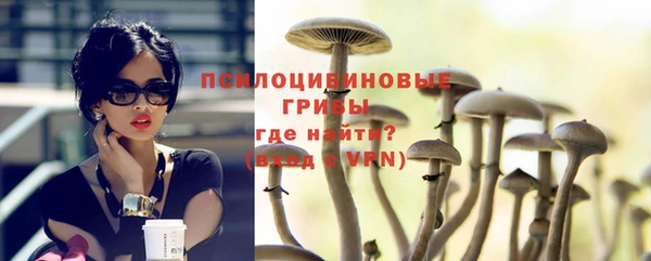 круглые Рославль