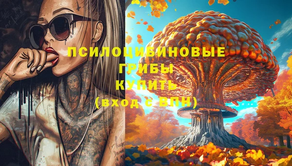 индика Абинск