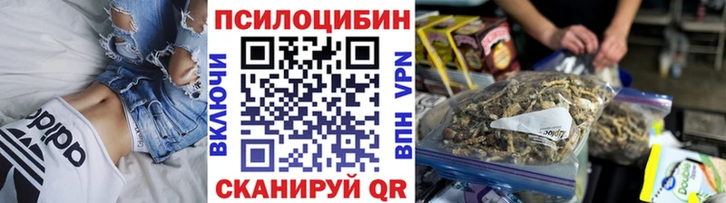 где купить   Вилюйск  Псилоцибиновые грибы прущие грибы 